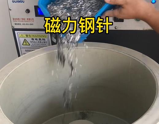 易县不锈钢箍用钢针